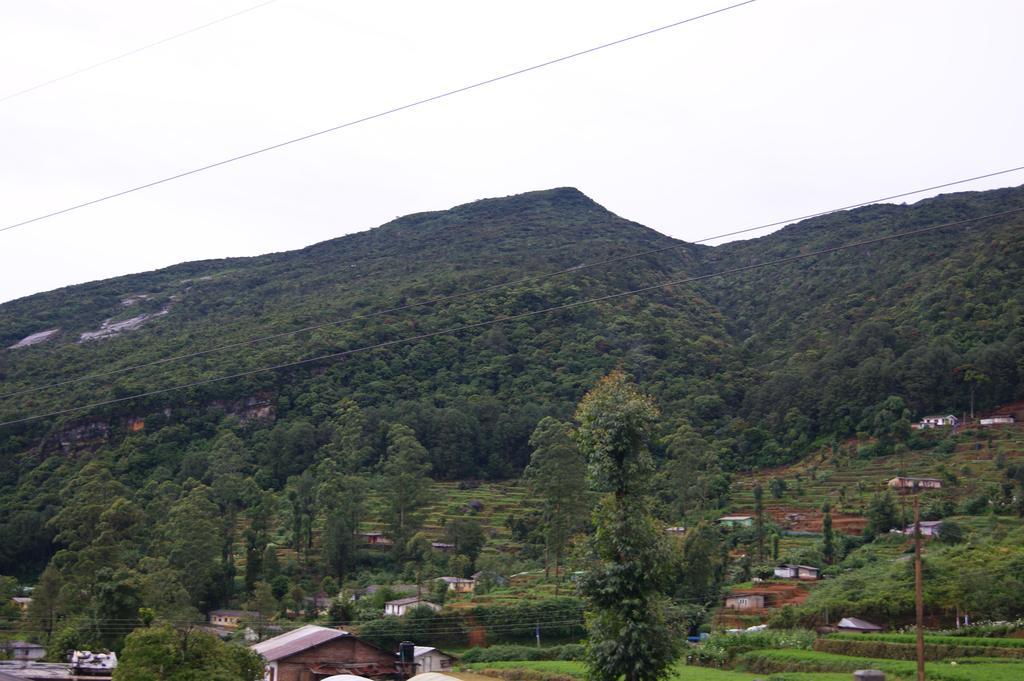 Winter Dream Holiday Bungalow Nuwara Eliya Pokój zdjęcie