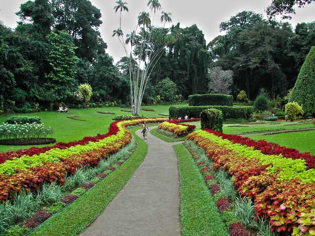 Winter Dream Holiday Bungalow Nuwara Eliya Zewnętrze zdjęcie